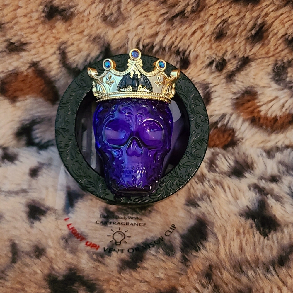 2023 Skull Visor/Vent Clip